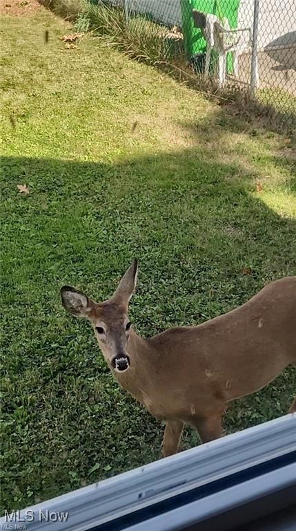 23621 Colbourne Road Euclid OH 44123