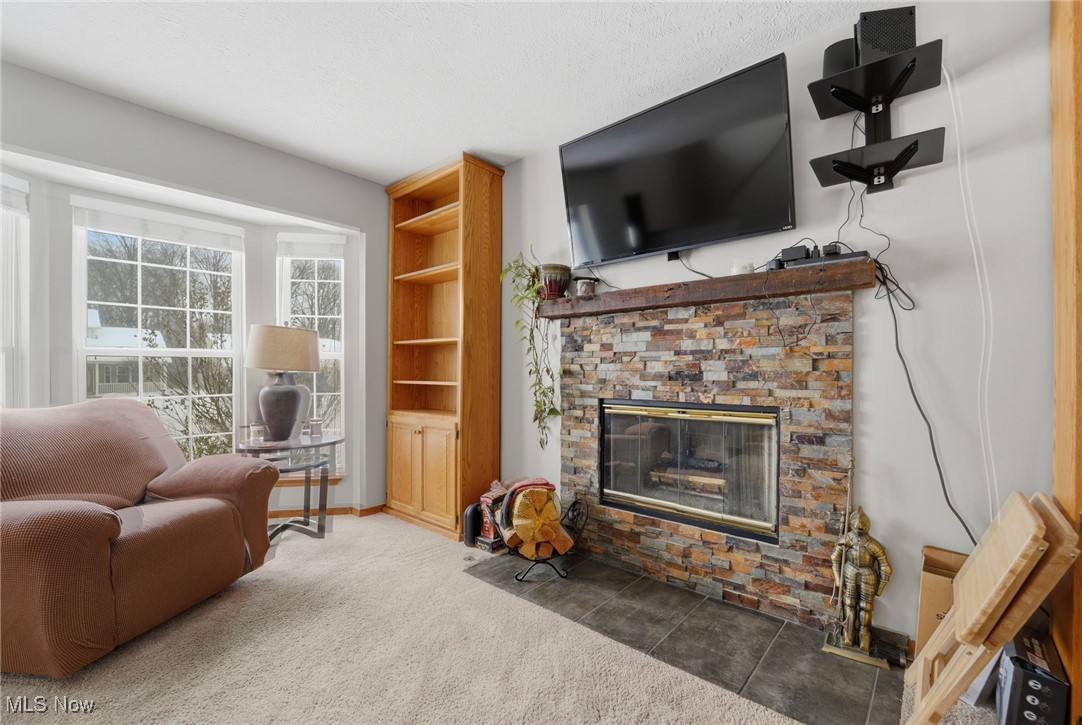 15100 Timber Ridge Drive Middlefield OH 44062