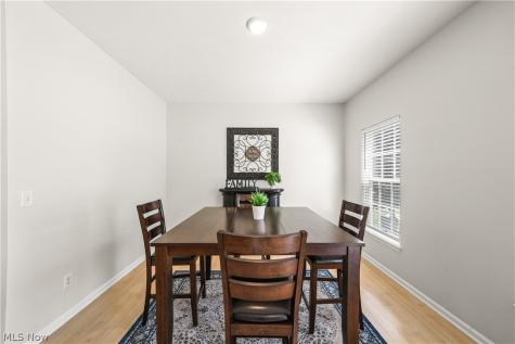 10214 Ridgeview Court Streetsboro OH 44241