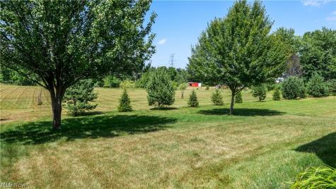 10214 Ridgeview Court Streetsboro OH 44241
