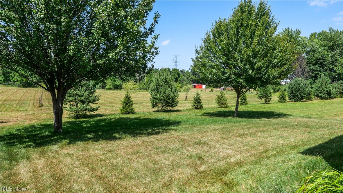 10214 Ridgeview Court Streetsboro OH 44241