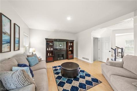 10214 Ridgeview Court Streetsboro OH 44241