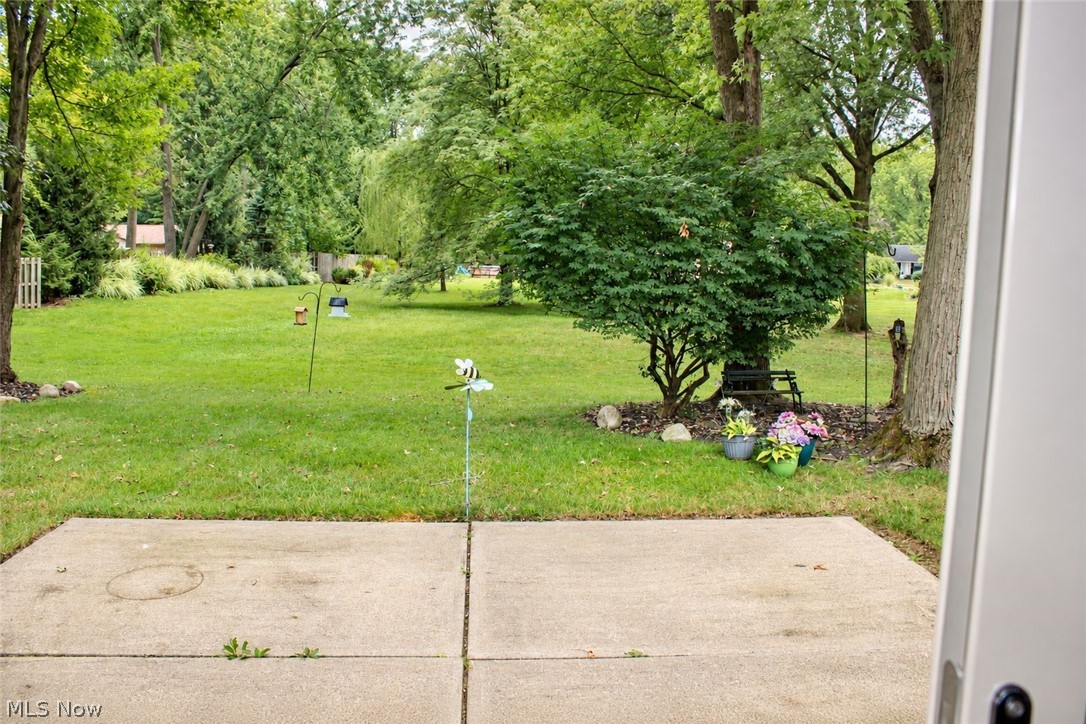 10816 Meadowgrass Road Strongsville OH 44149
