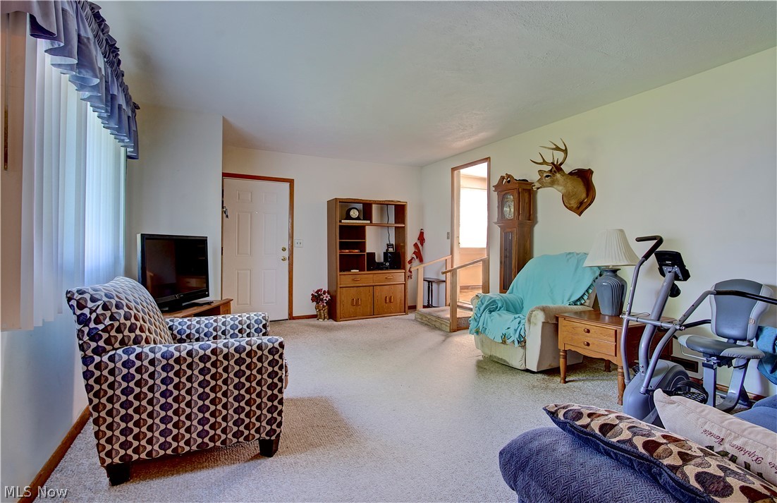3785 Sanford Drive Brunswick OH 44212