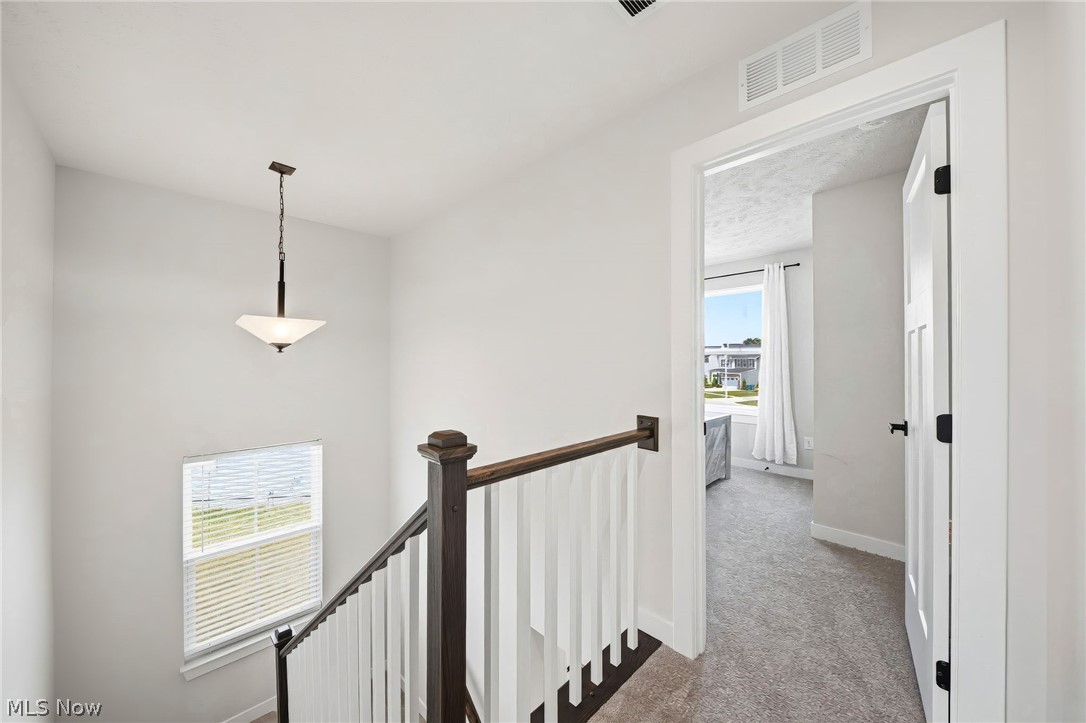 8082 Cora Court North Ridgeville OH 44039