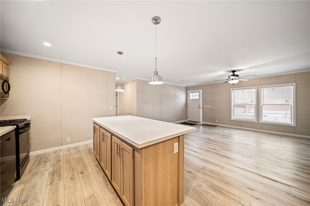 3583 Austin Road Geneva OH 44041