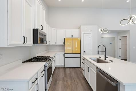 441 Community Lane Painesville OH 44077