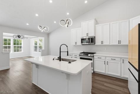 441 Community Lane Painesville OH 44077
