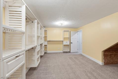 441 Community Lane Painesville OH 44077