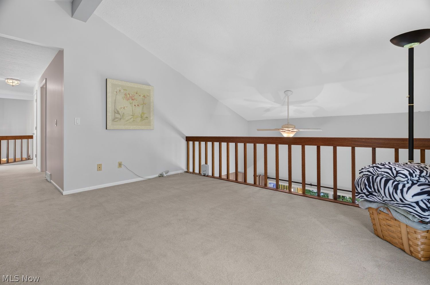 1193 Wildwood Drive Vermilion OH 44089