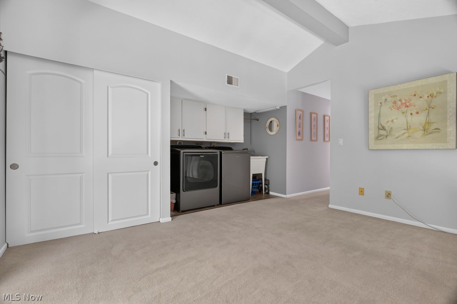 1193 Wildwood Drive Vermilion OH 44089