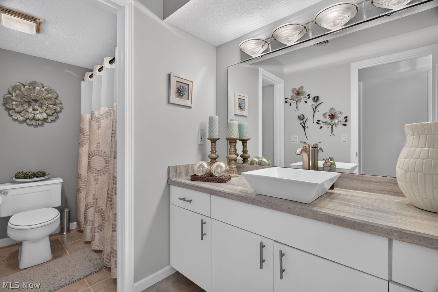 1193 Wildwood Drive Vermilion OH 44089
