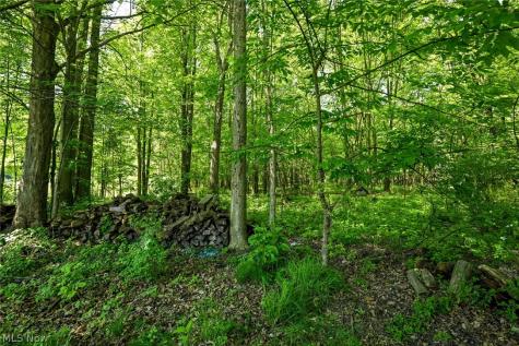 4092 Hummingbird Trail Stow OH 44224