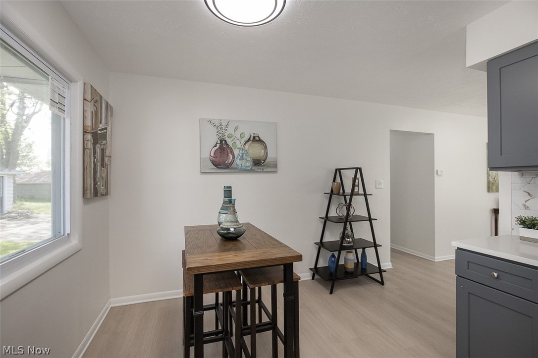 14936 Janice Drive Maple Heights OH 44137