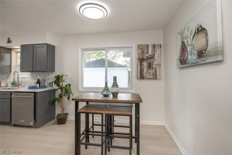 14936 Janice Drive Maple Heights OH 44137