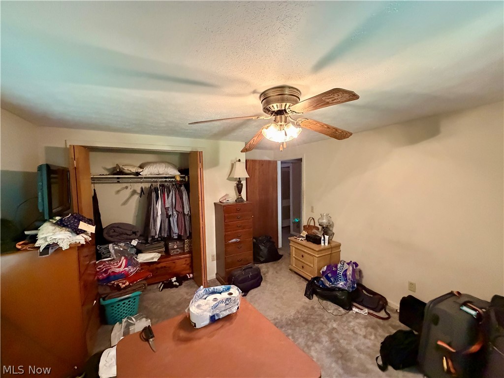 4626 Rita Street Austintown OH 44515