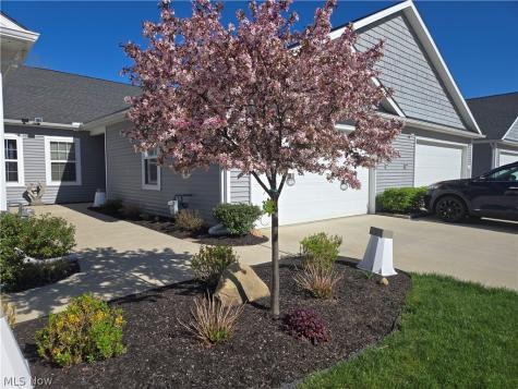 413 Deer Crossing Elyria OH 44035