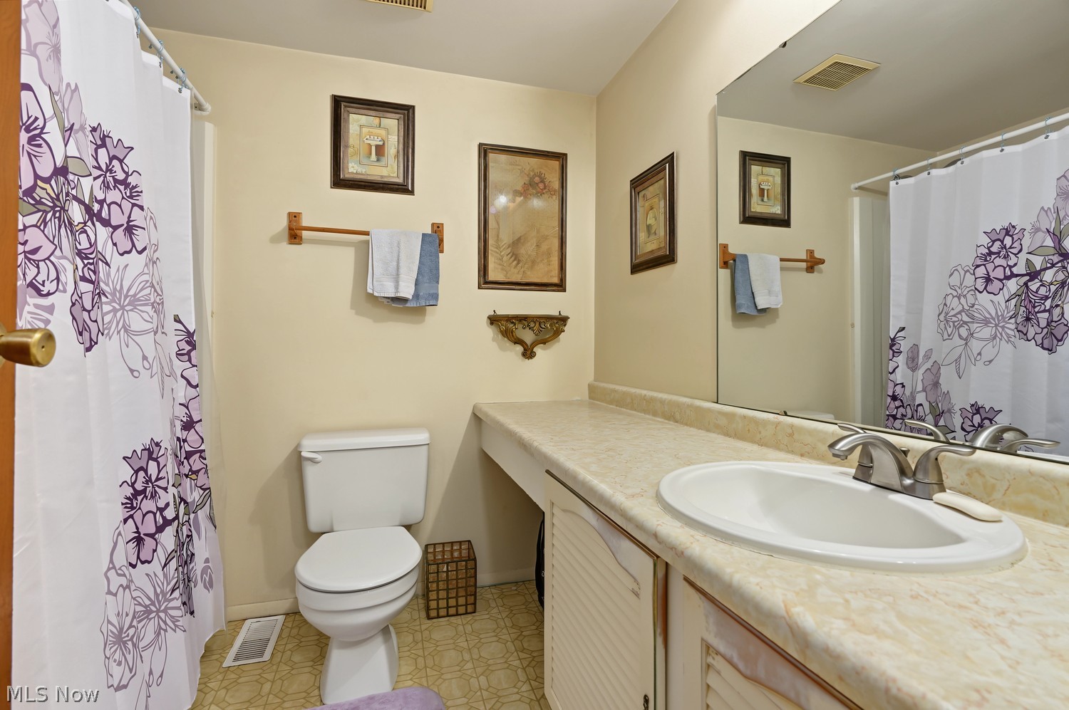 1068 Hampton Drive Macedonia OH 44056
