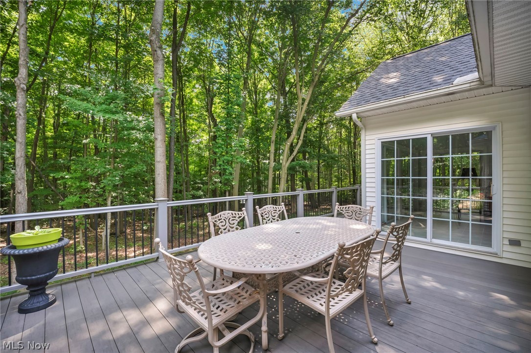 1144 Tanglewood Drive Mantua OH 44255