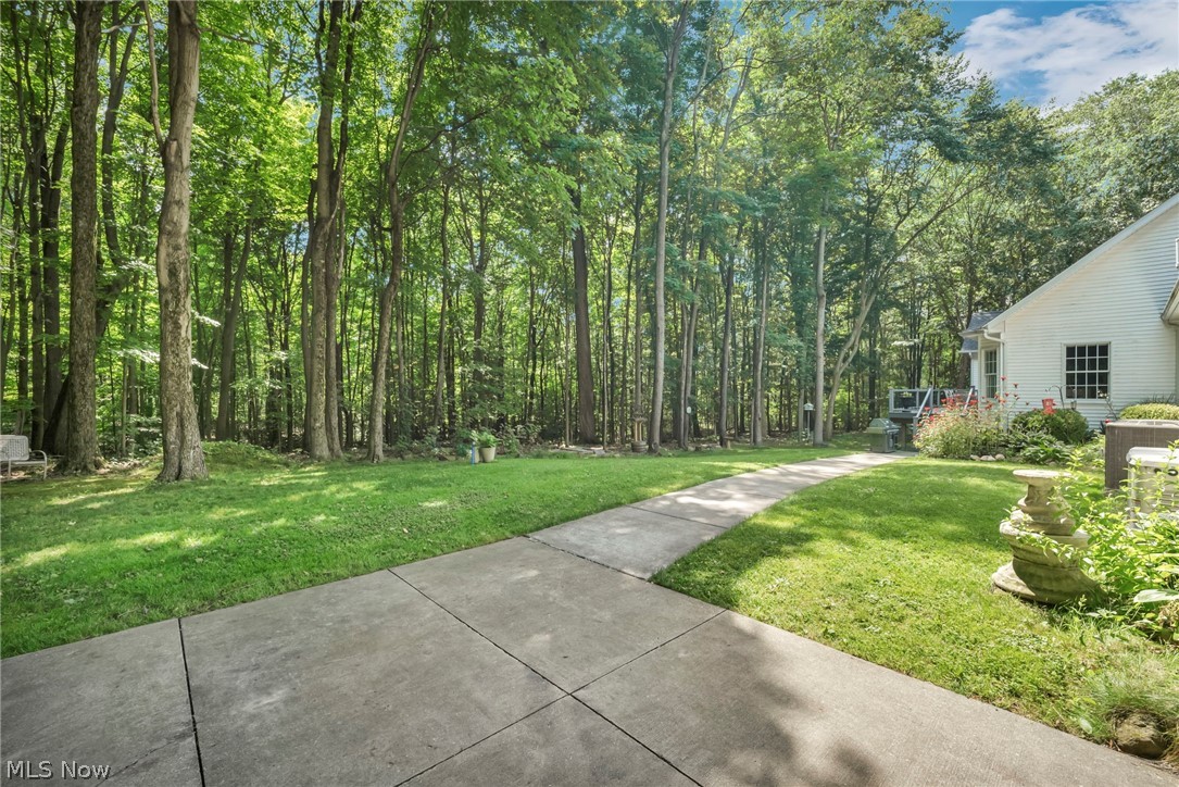 1144 Tanglewood Drive Mantua OH 44255