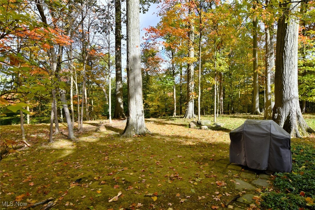 3803 Bridgeview Drive South Euclid OH 44121