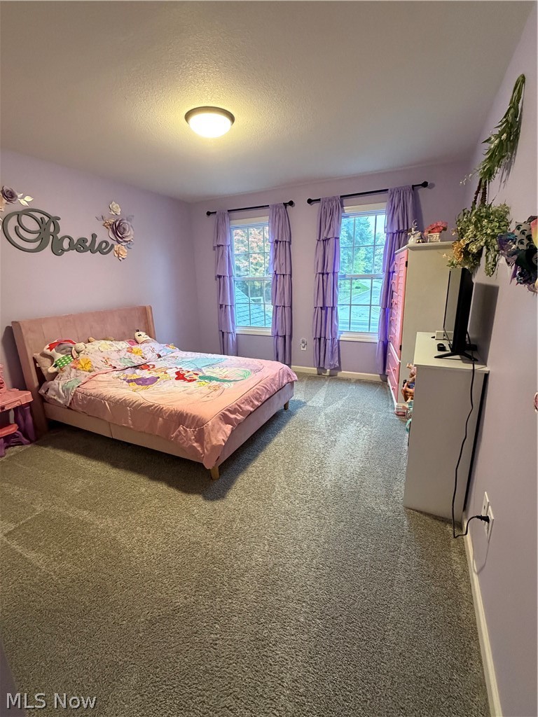 3493 Timber Point Boulevard Hubbard OH 44425