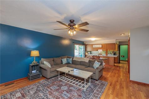 232 Barker Street Wellington OH 44090