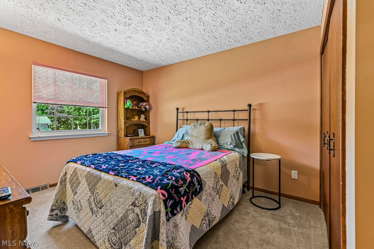 9109 Bluejay Lane Mentor OH 44060