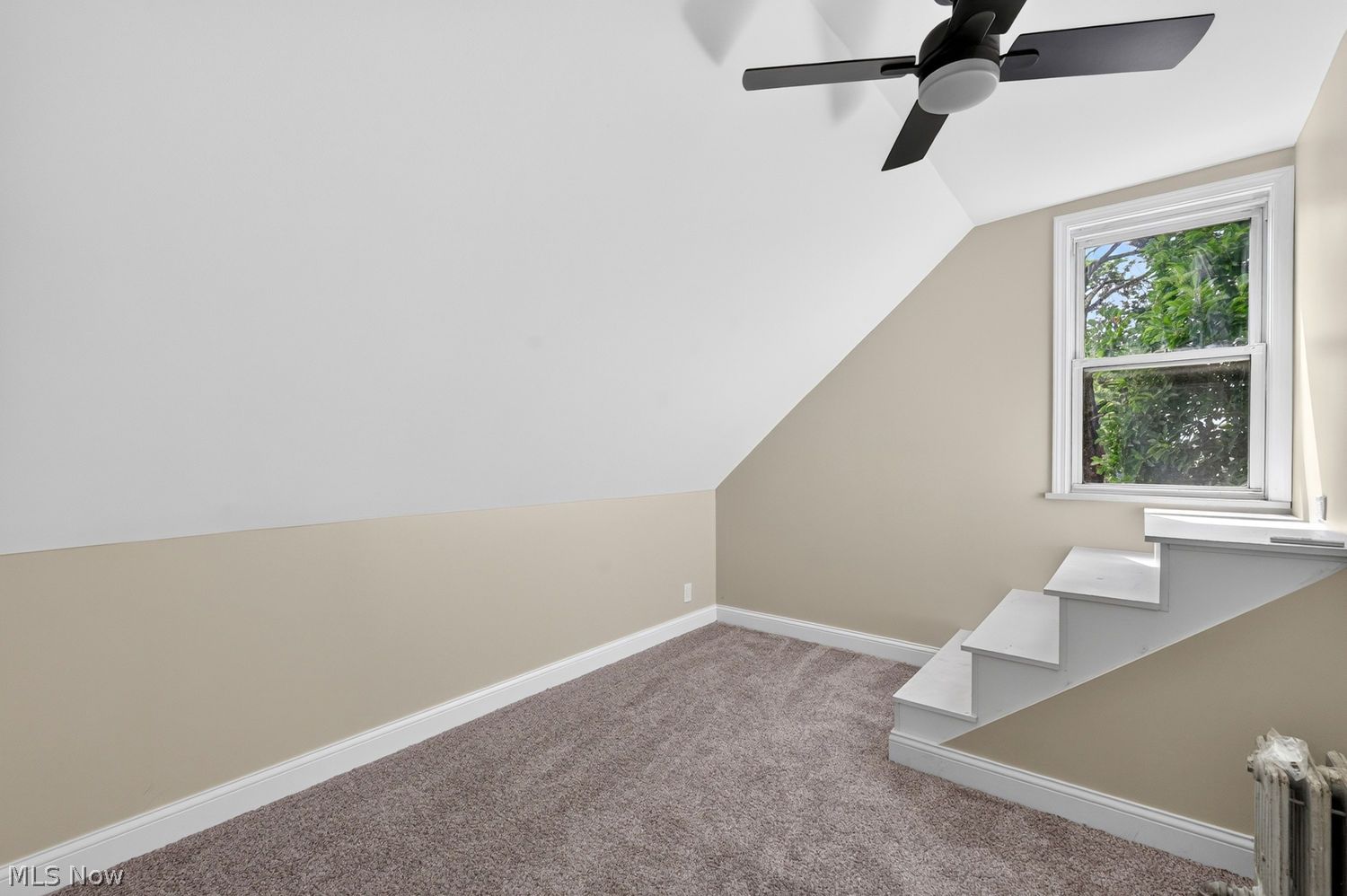 2052 Halstead Avenue Lakewood OH 44107