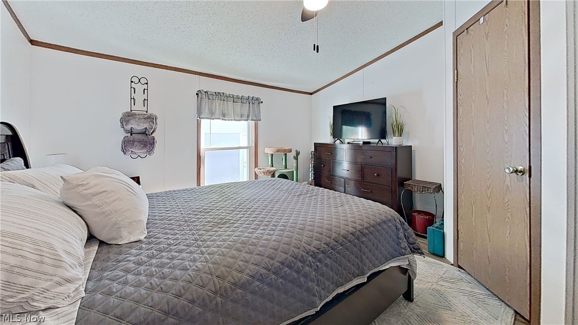 17015 Mcintosh Road Wellsville OH 43968
