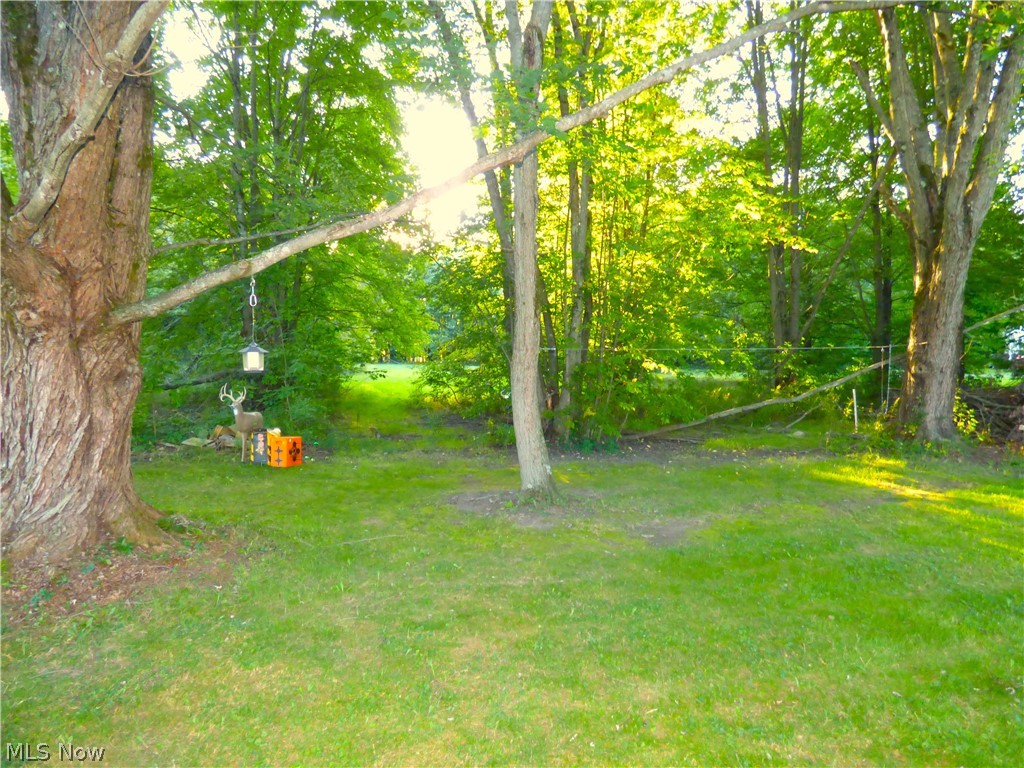 335 Hatton Drive Andover OH 44003