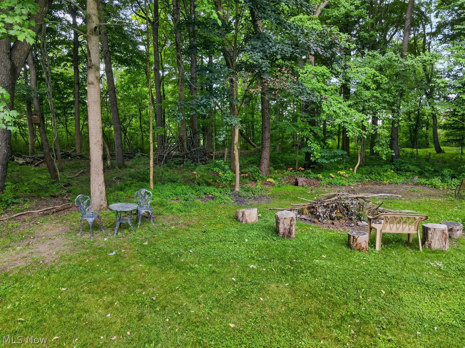 13480 Shady Lane Chesterland OH 44026