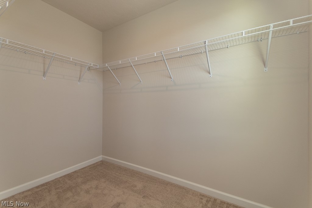 578 Cherrywood Lane Painesville OH 44077