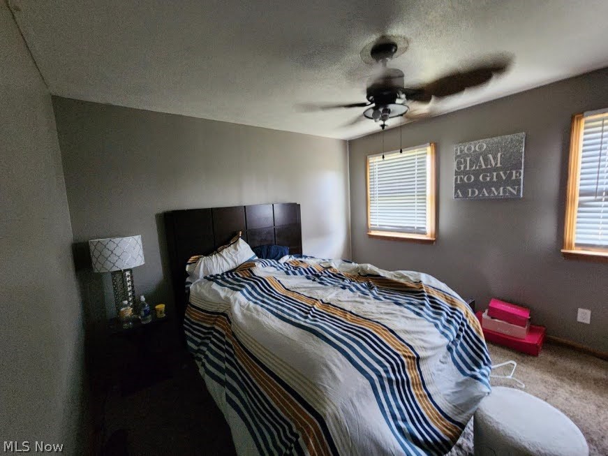798 Devitt Avenue Campbell OH 44405