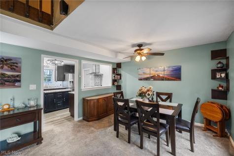 547 Cove Beach Avenue Sheffield Lake OH 44054