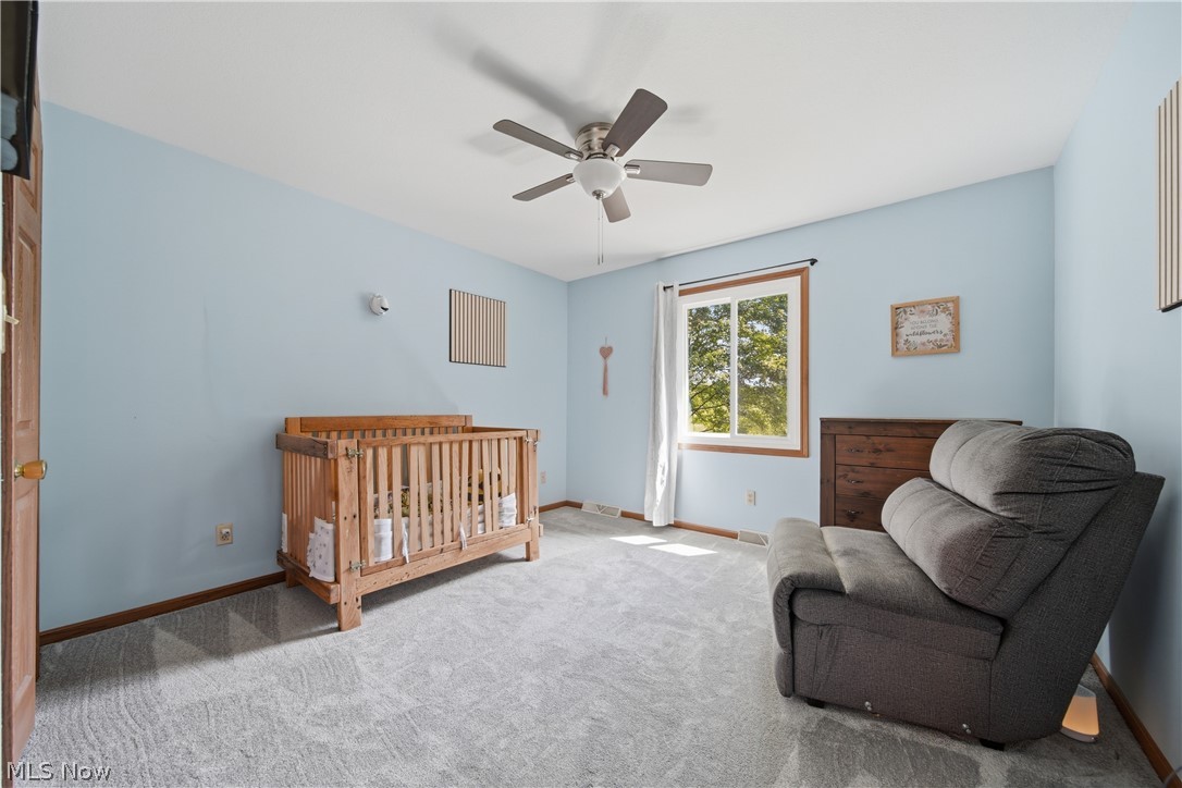 1745 N Duck Creek Road North Jackson OH 44451