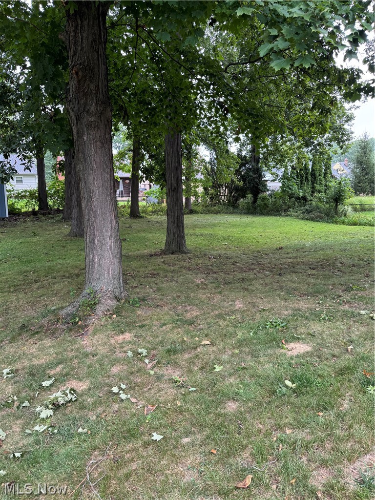 29331 Armadale Avenue Wickliffe OH 44092