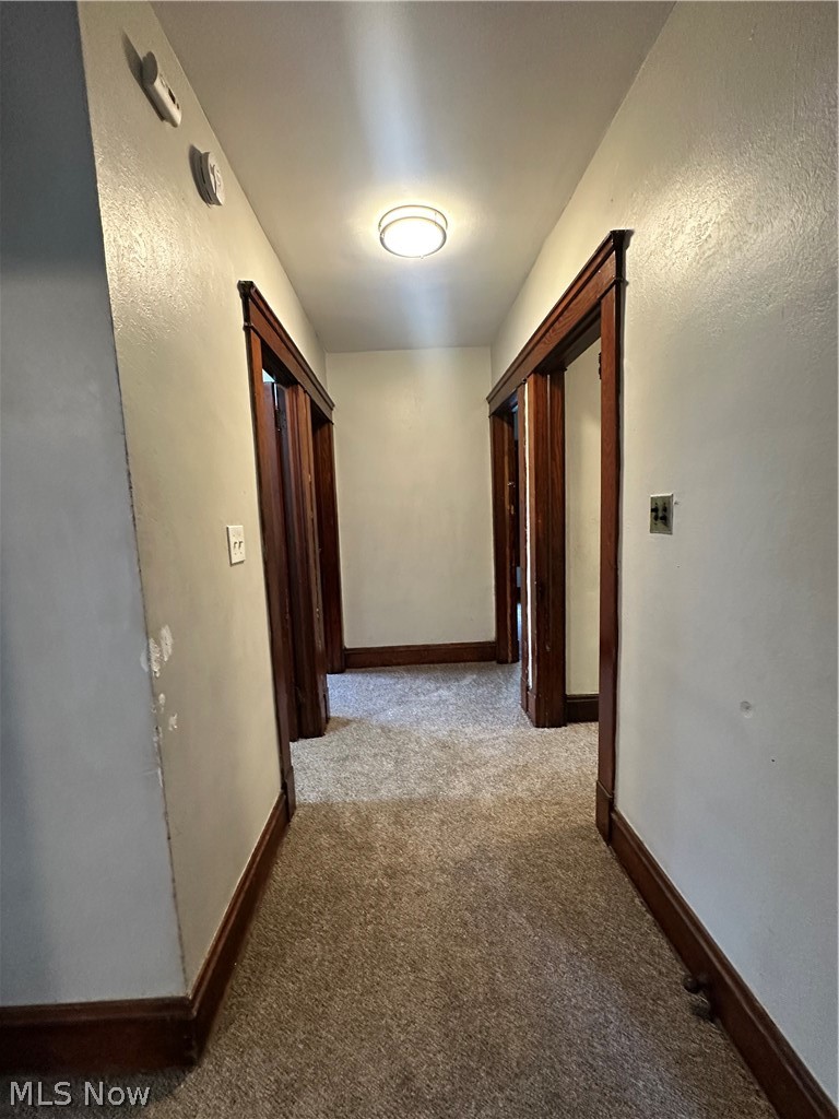 9519 Hilgert Drive Cleveland OH 44104