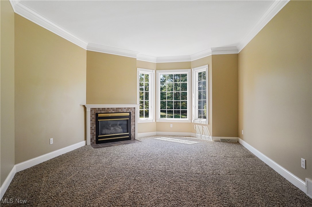 12 Tanager Drive Hudson OH 44236