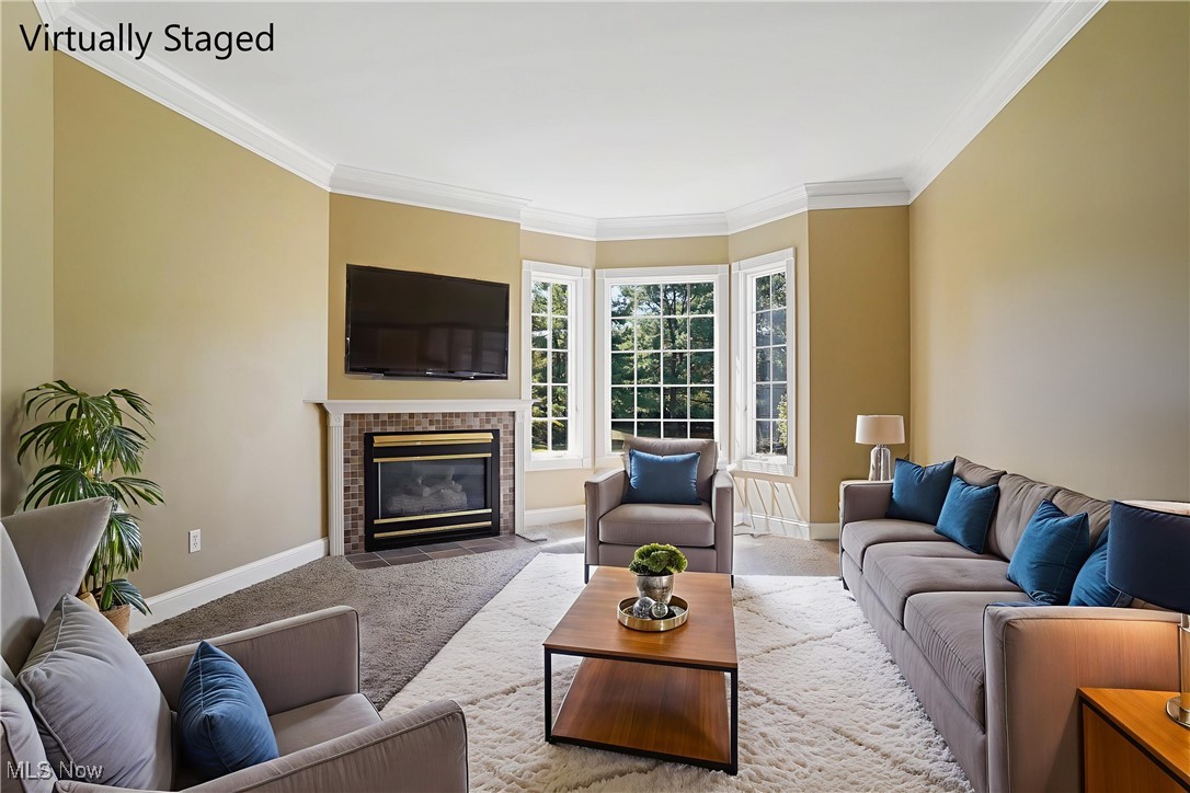 12 Tanager Drive Hudson OH 44236