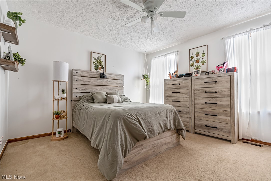 114 Hemlock Avenue Waynesburg OH 44688
