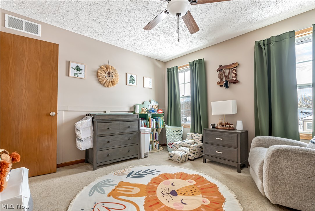 114 Hemlock Avenue Waynesburg OH 44688