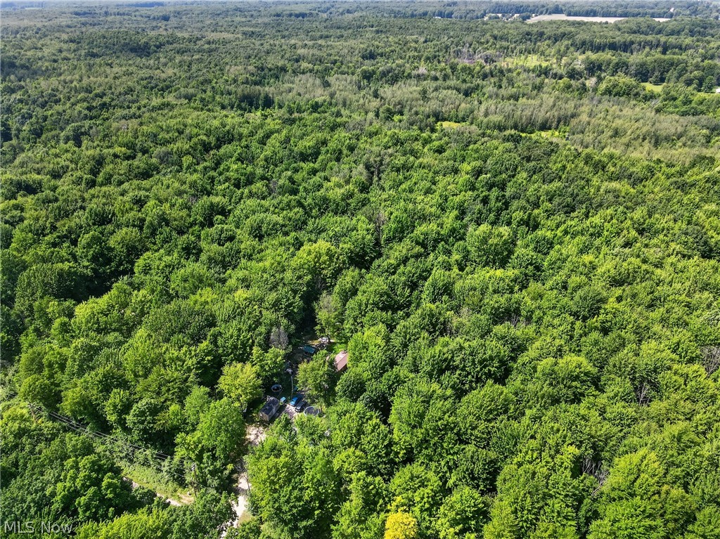 6737 Beckwith Road Pierpont OH 44082