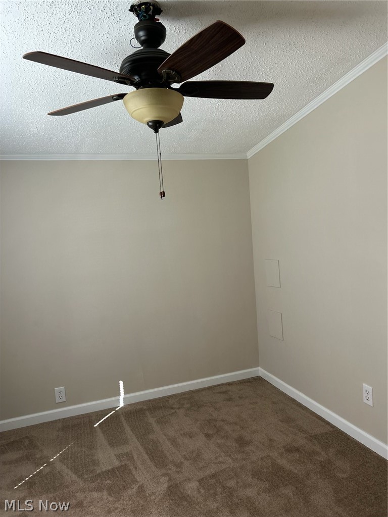 10193 Oakwood Street Byesville OH 43723