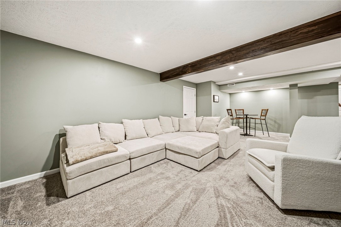 7202 Elivia Lane Mentor OH 44060