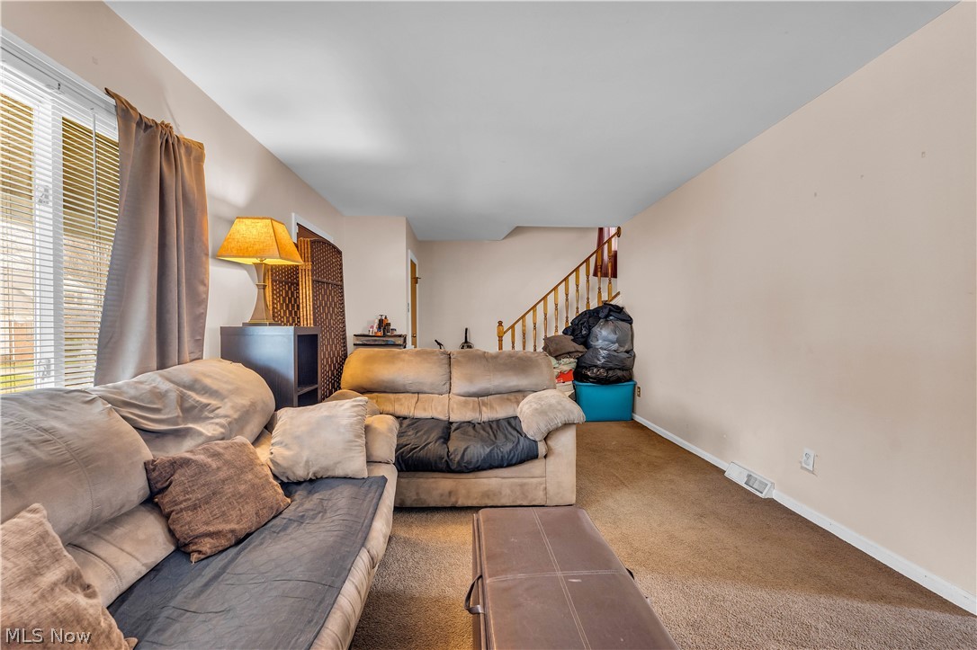 19720 Pasnow Avenue Euclid OH 44119