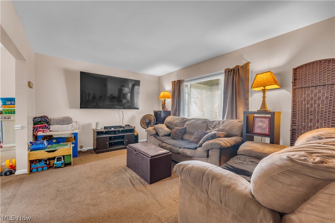 19720 Pasnow Avenue Euclid OH 44119