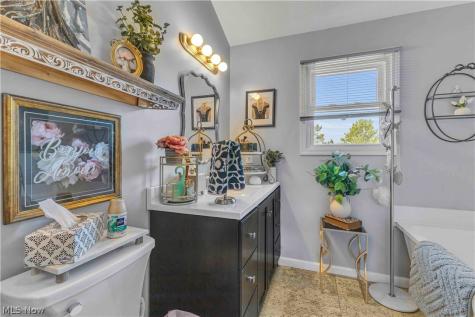 3041 Portsmouth Drive Brunswick OH 44212