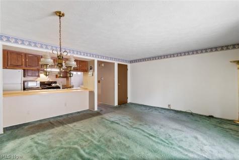 3913 Lake Run Boulevard Stow OH 44224