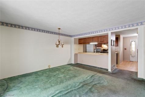 3913 Lake Run Boulevard Stow OH 44224